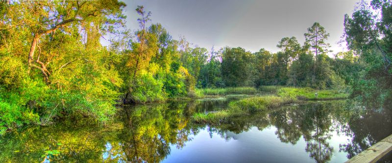 PANPB2.jpg :: Pensacola Bayou