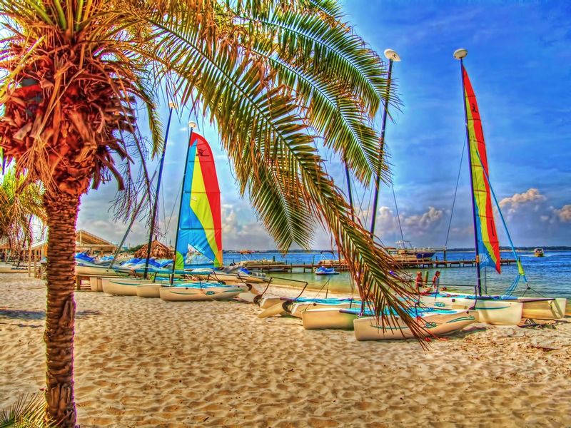 SFFS1.jpg :: Summertime Fun - Florida Style