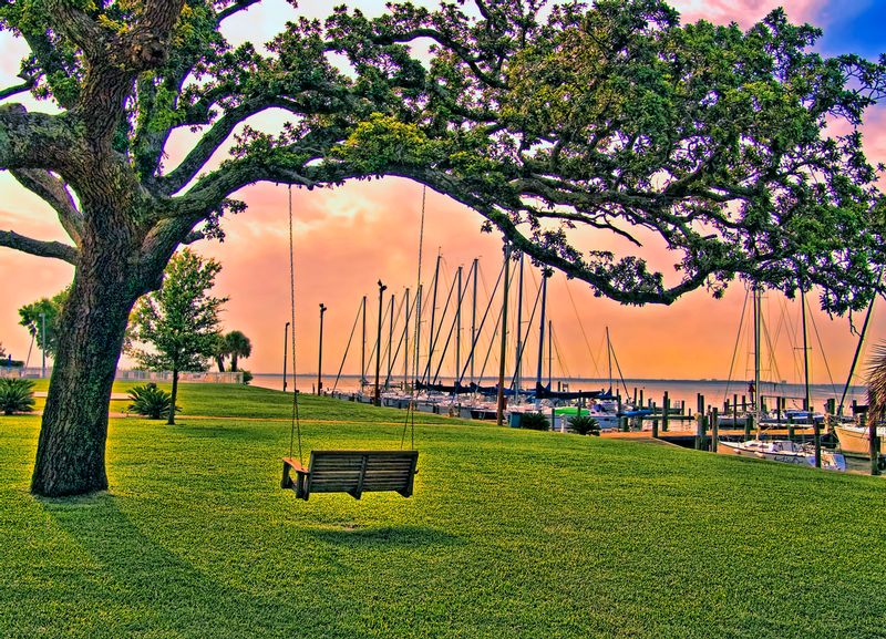 SUTT1.jpg :: Swinging Under the Tree