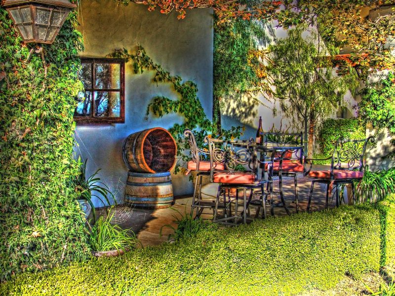 CCV18.jpg :: Vineyard Patio                         