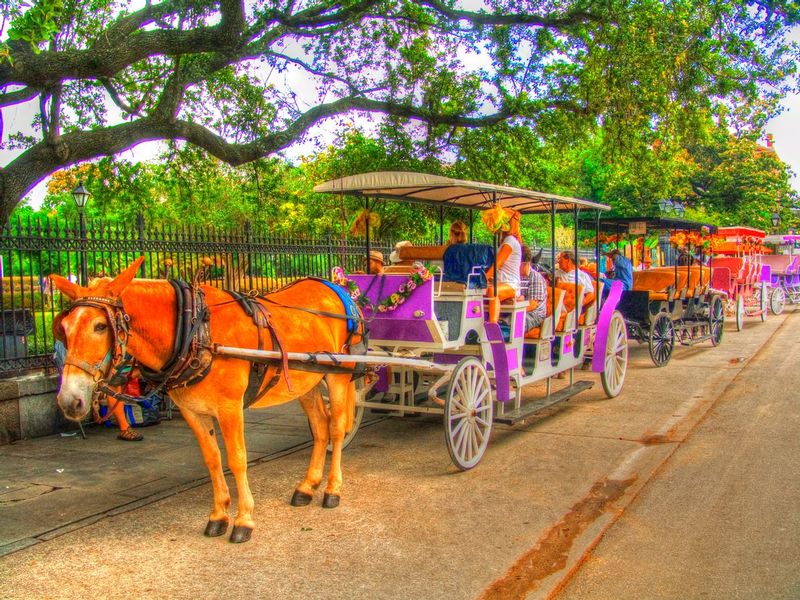 CRNOLA1.jpg :: Carriage Ride - New Orleans