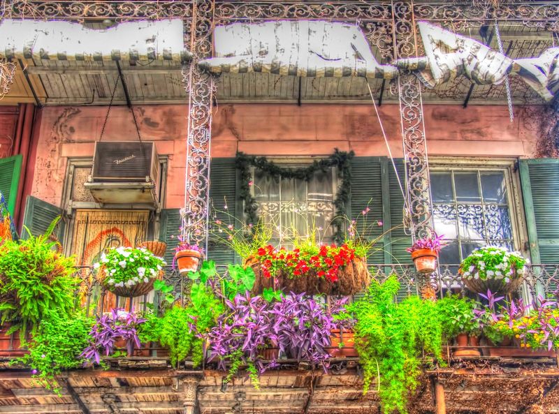 FBNO1.jpg :: Flower Boxes - New Orleans