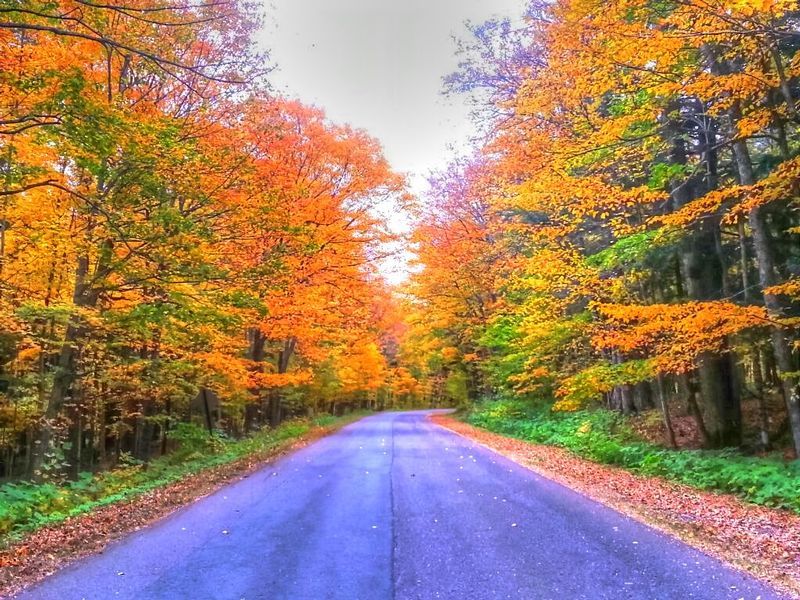 FCMI1.jpg :: Fall Colors in Michigan