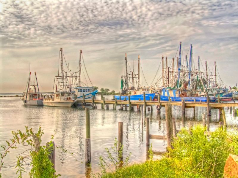 FFFL1.jpg :: Fishing Fleet