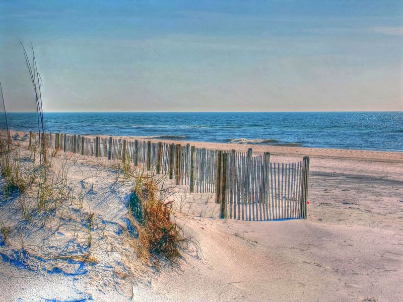 FFL1.jpg :: Fences at the Beach