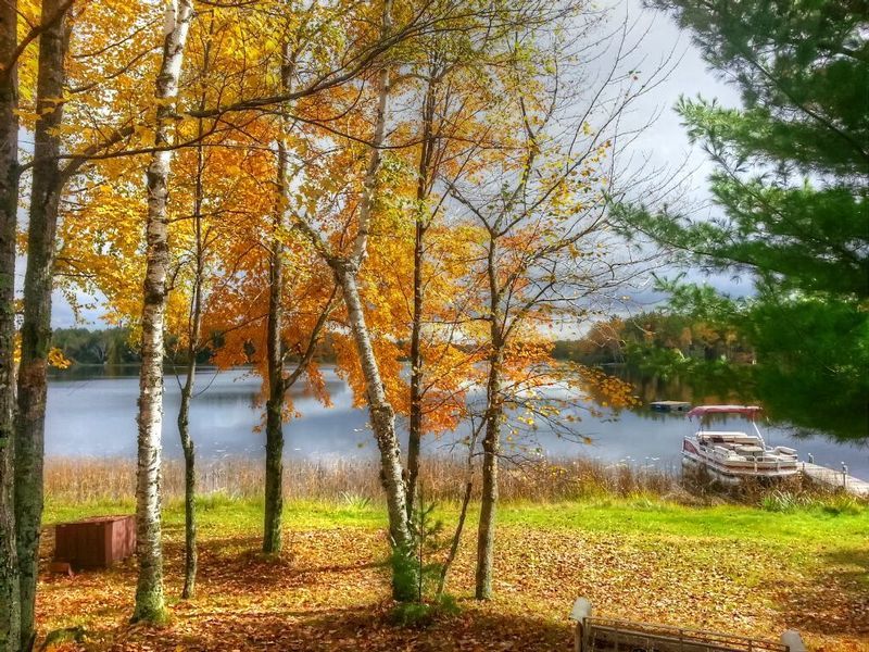 FMATL1.jpg :: Fall Morning at the Lake