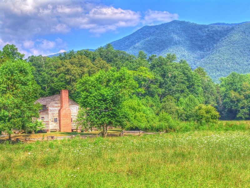 GSM06.jpg :: Great Smoky Mountains