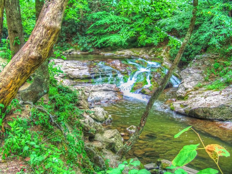GSM07.jpg :: Great Smoky Mountains