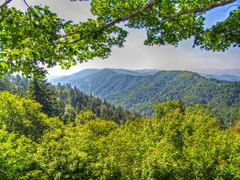 GSM11.jpg :: Great Smoky Mountains