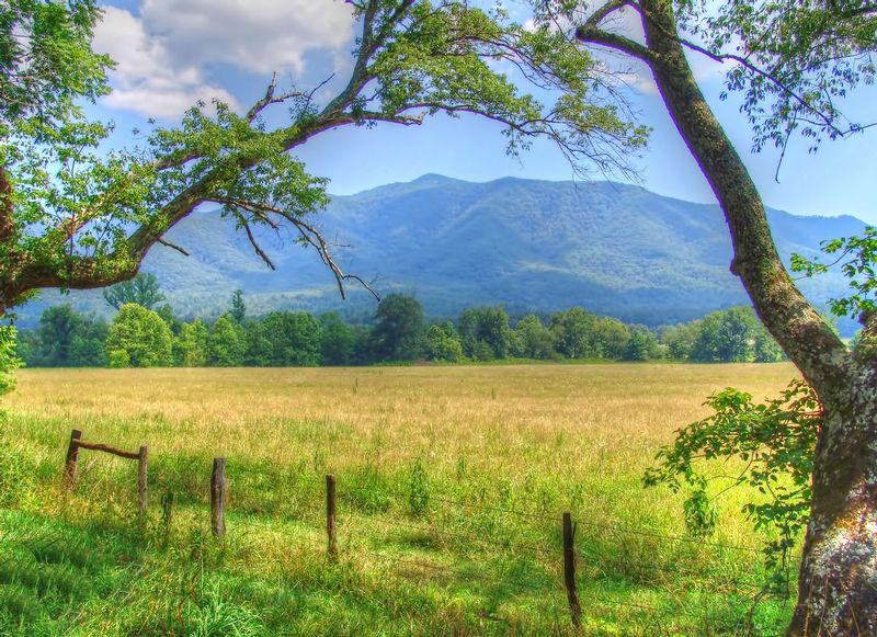 GSM13.jpg :: Great Smokey Mountains - Tennessee