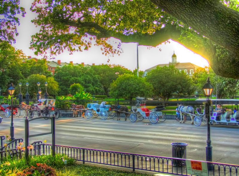 LAJS1.jpg :: The Lineup at Jackson Square