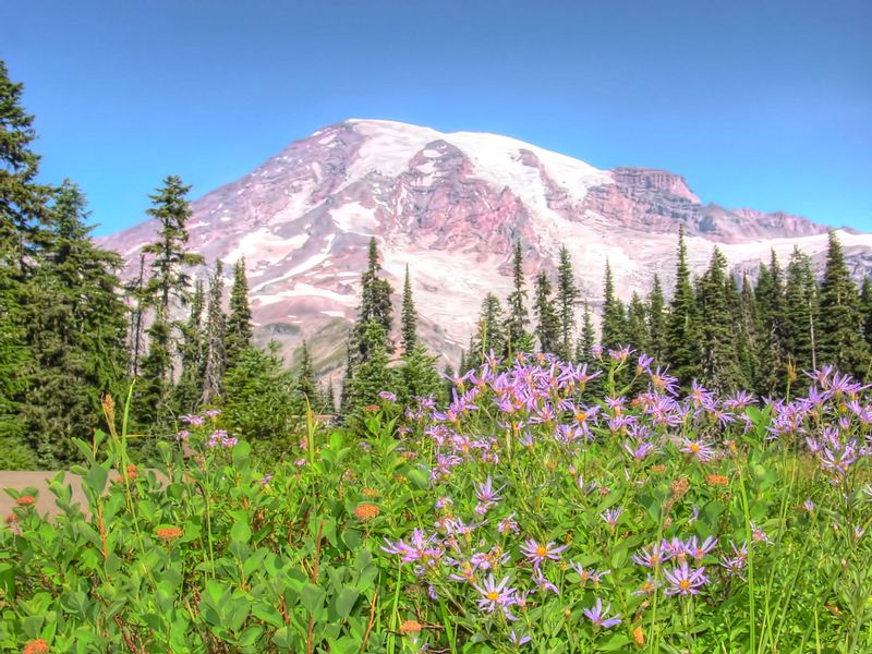 MRNPWA1.jpg :: Mount Rainier National Park