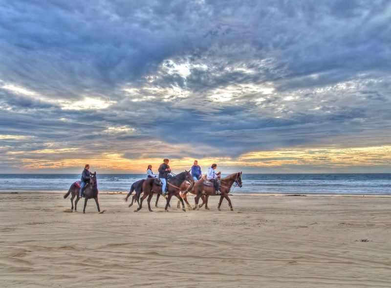 OFARC1.jpg :: Out for a Ride