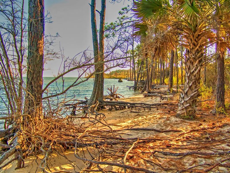 RCFL1.jpg :: Rugged Florida Coastline