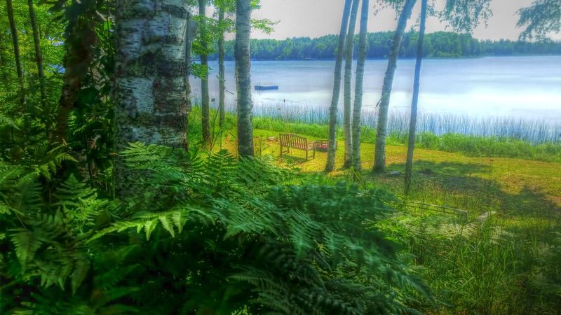 SDATL1.jpg :: Summer Day at the Lake