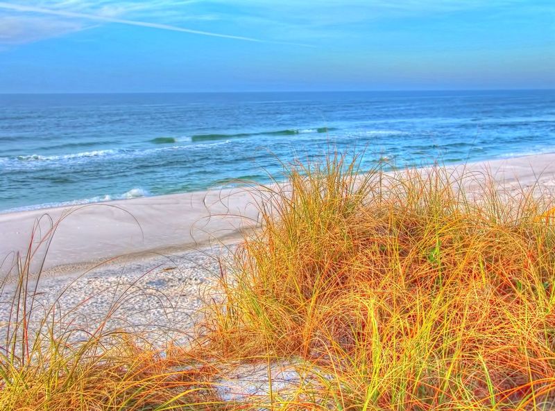 SGBFL3.jpg :: Seagrove Beach, Florida