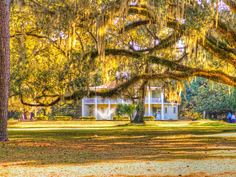 SPFL1.jpg :: Southern Plantation