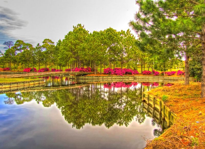 WHFL1.jpg :: Water Hole