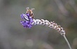prvDSCN4459.jpg