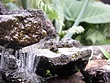 prvDSCN4504.jpg