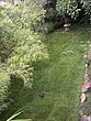 prvDSCN7088.jpg