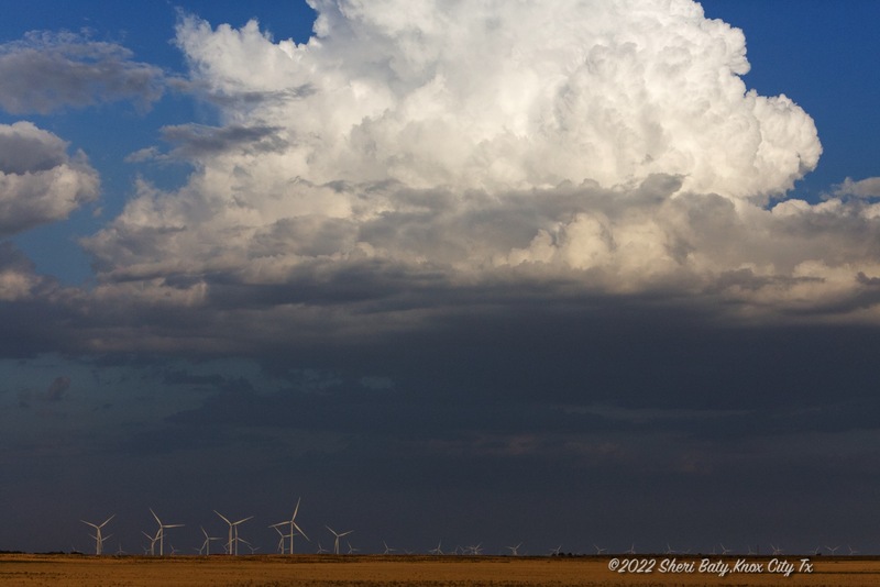 c_Fanning the Storm_4F3A0417r.jpg