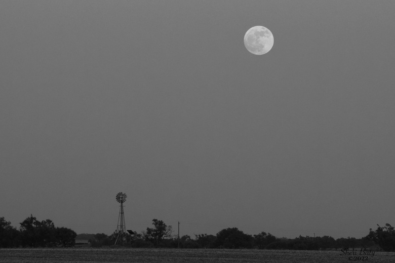 c_Full Moon Over The Rolling Plains_bw.jpg