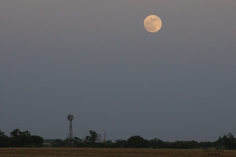 c_Full Moon Over The Rolling Plains_color.jpg