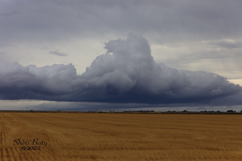 c_I Hear the Thunder Coming_r0H6A2247Ra.jpg