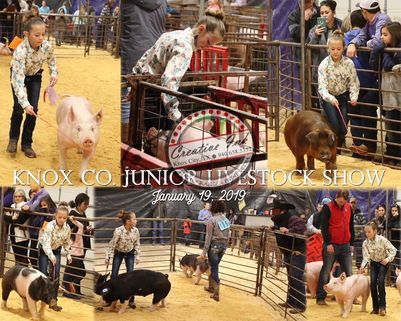 8x10 SAMPLE 2019 Livestock Show Collage.jpg