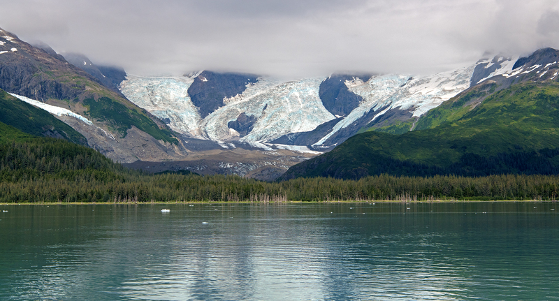 1825 Surprise Glacier Prince William Sound 30x55(1).jpg