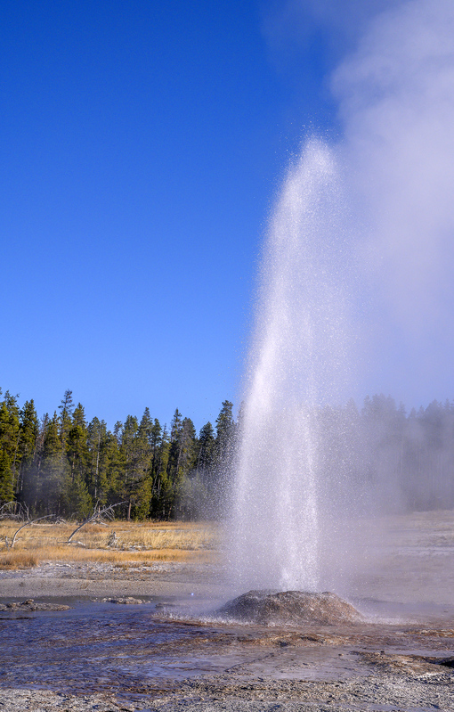 1866 Pink Cone Geyser III 30x47.jpg