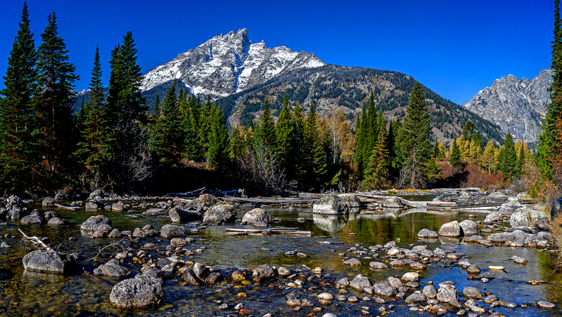 1869 Cottonwood Creek Autumn 30x53(1).jpg