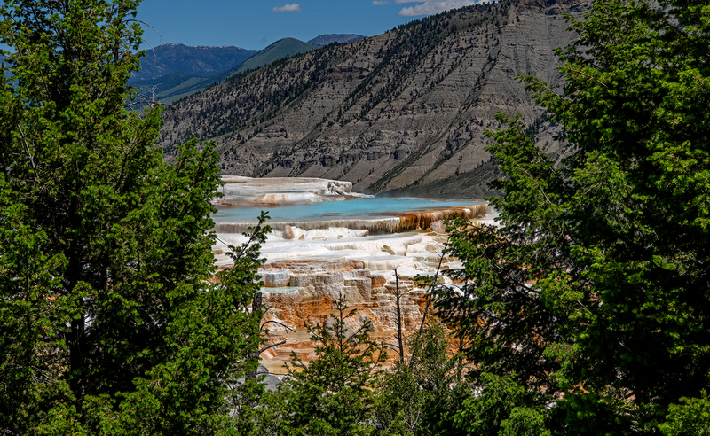 1890 Upper Terrace Mammoth Hot Springs 30x54 v2(1).jpg