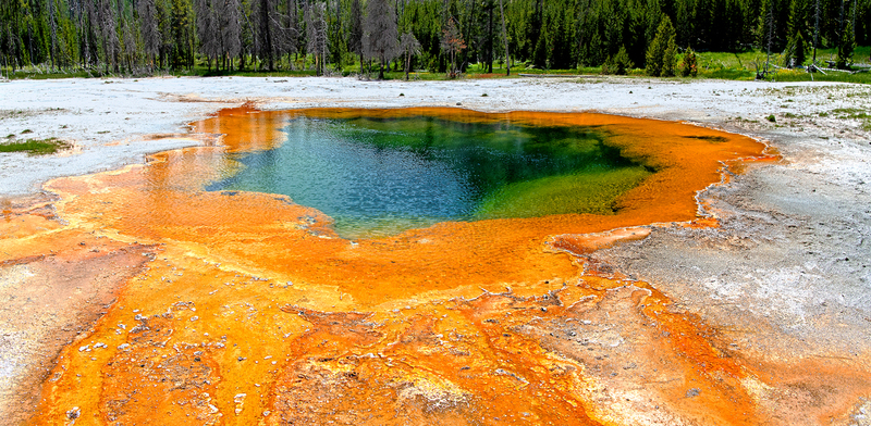 1891 Emerald Pool IV 30x62(1).jpg