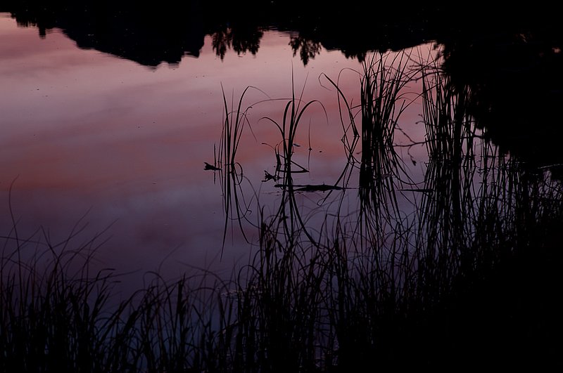 711 Sprague Lake Sunset IV 20x30 RMNP.jpg