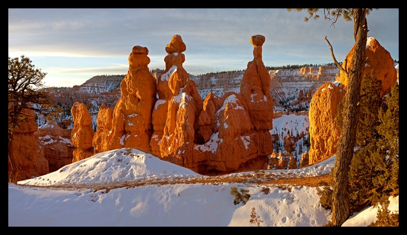 848 Bryce Canyon Winter Sunrise Hoodoos.jpg