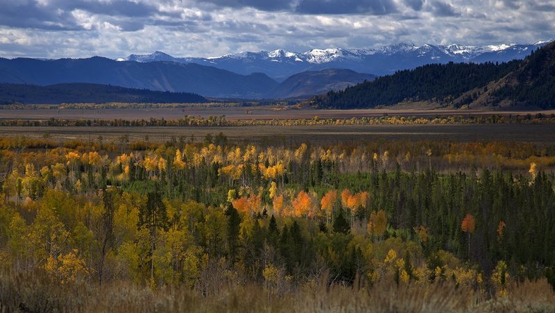 Antelope Flats Fall I.jpg :: Catalogue No. 1170

Image Size:   22X39 in. on Canvas