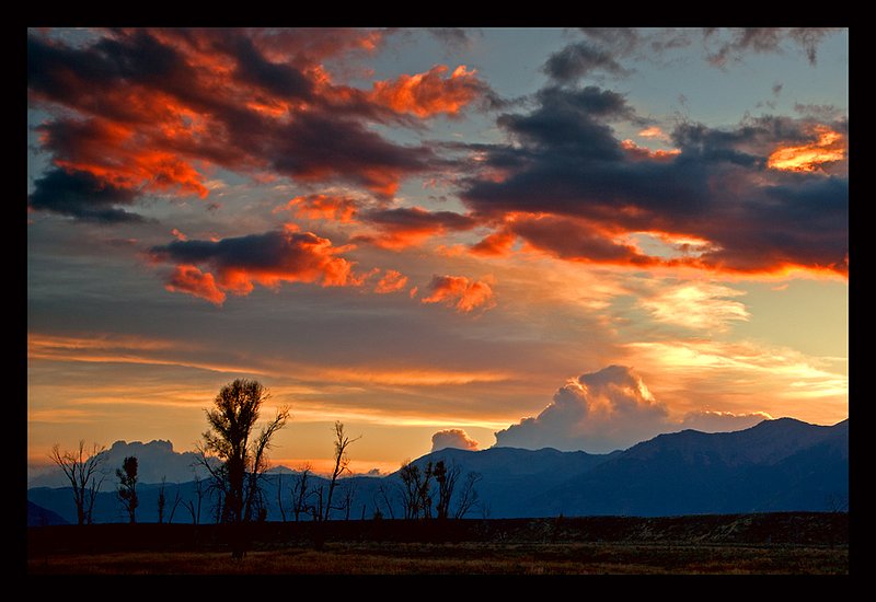 Antelope Flats Sunset I.jpg :: Catalogue No. 584

Image Size: 13X19 in. on Art Paper
             16X24 in. on Paper or Canvas
             20X30 in. on Canvas 
