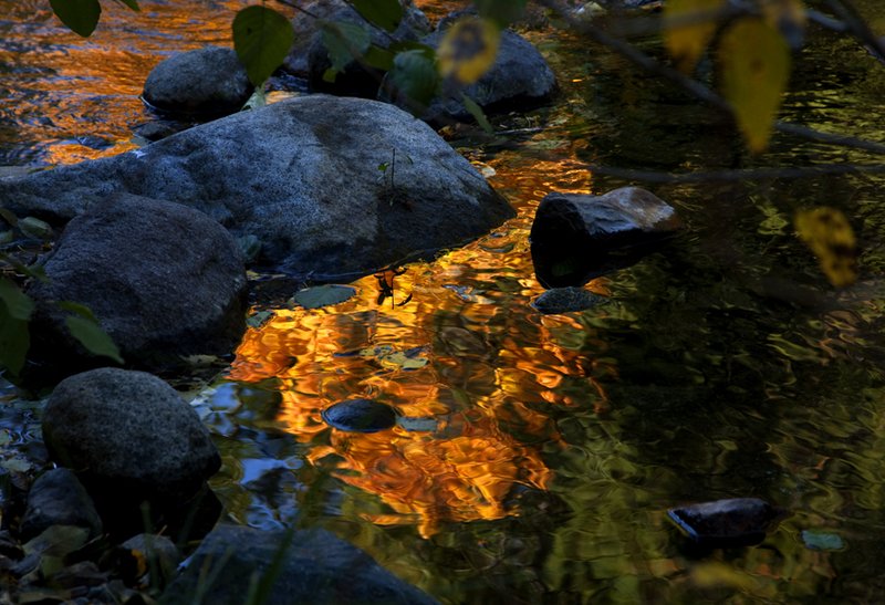 Autumn Gold I Wild Plum Creek.jpg :: Catalogue No. 316

Image Size:   16X24 in. on Canvas or Paper
              13X19 on Art Paper