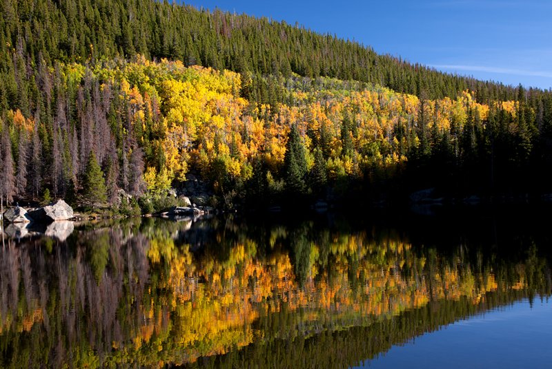 Bear Lake Autumn Reflections III.jpg :: Catalogue No. 778

Image Size:   20X30 in. on Canvas
              16X24 in. on Canvas or Paper
              13X19 on Art Paper
