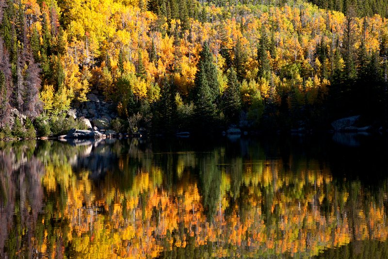 Bear Lake Autumn Reflections IV RMNP.jpg :: Catalogue No. 785

Image Size:   22X33 in. on Canvas
              16X24 in. on Canvas or Paper
              13X19 on Art Paper
