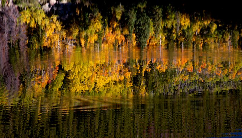 Bear Lake Autumn Reflections VI.jpg :: Catalogue No. 779

Image Size:   22X32 in. on Canvas
              16X24 in. on Canvas or Paper
              13X19 on Art Paper
