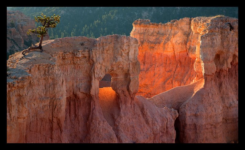 Bryce Canyon Sunrise I.jpg :: Catalogue No. 716

Image Size:  22X34 in. on Canvas
             
IN THE MUSEUM COLLECTION & ON DISPLAY IN BRYCE CANYON NP