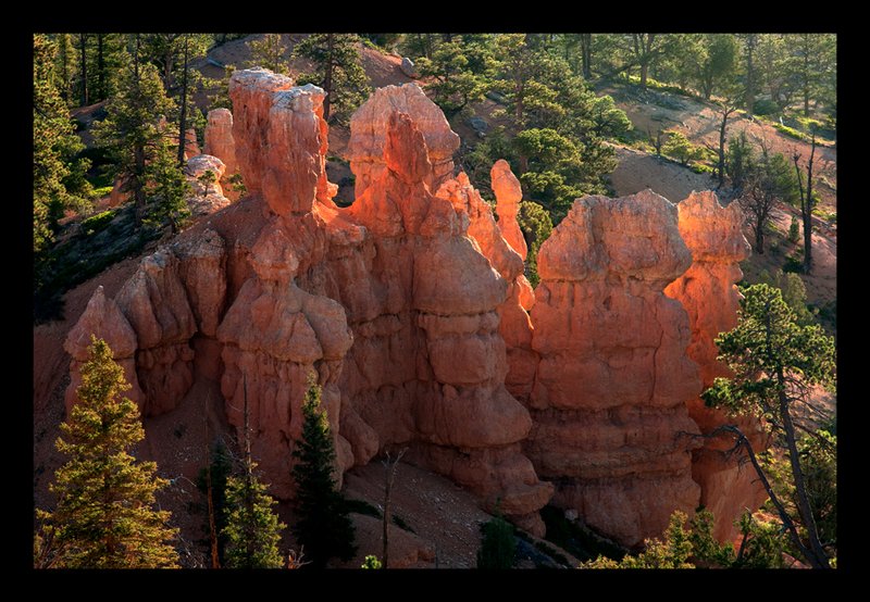 Bryce Canyon Sunrise III.jpg :: Catalogue No. 723

Image Size:  16X24 in. on Canvas or Art Paper
             13X19 in. on Art Paper
