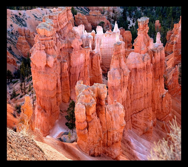 Bryce Canyon Sunrise XXVI.jpg :: Catalogue No. 1097

Image Size:   22x25 in. on Canvas