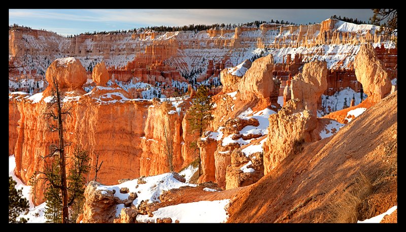 Bryce Canyon Winter Sunrise VI.jpg :: Catalogue No. 849

Image Size:   24X42 in. on Canvas
              