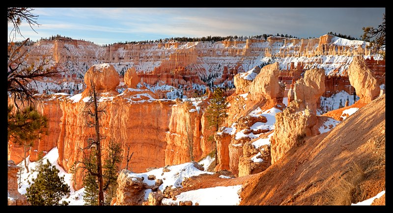Bryce Canyon Winter Sunrise from Sunrise Point V.jpg :: Catalogue No. 868

Image Size:   24X46 in. on Canvas
              
