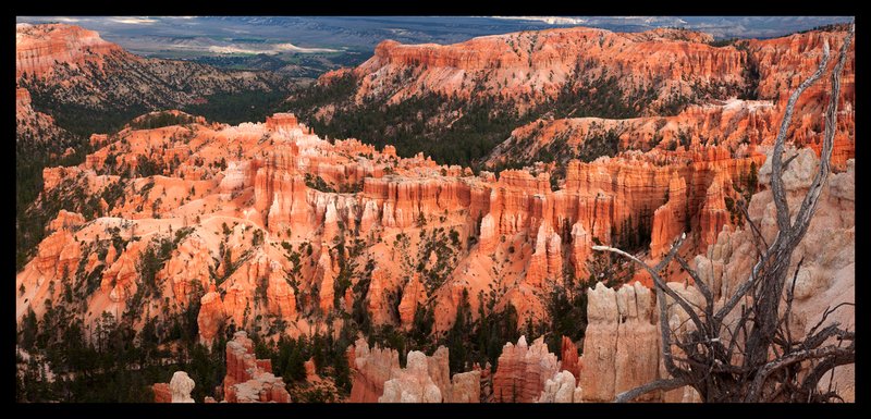 Bryce View IV.jpg :: Catalogue No. 802

Image Size:   24X52 in. on Canvas
