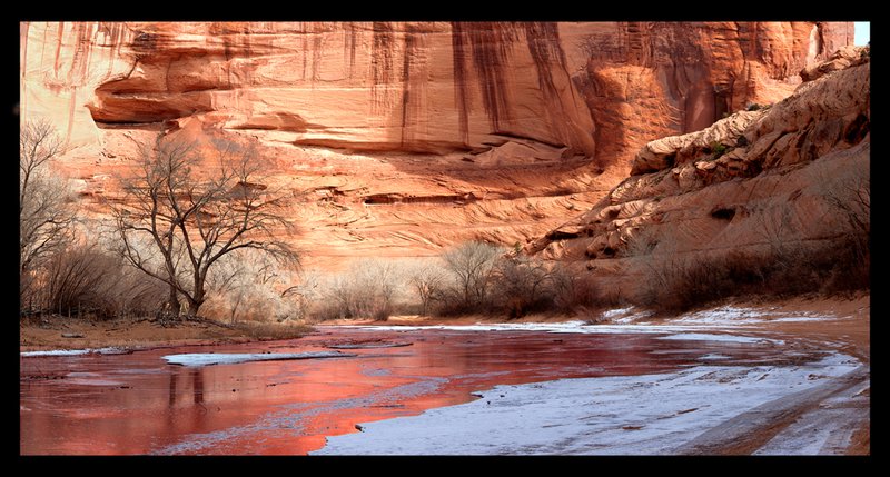 Canyon Del Muerto Reflections.jpg :: Catalogue No. 850

Image Size:       20X39 in. on Canvas

IN THE MUSEUM COLLECTION AND ON DISPLAY IN CANYON de CHELLY NATIONAL MONUMENT

